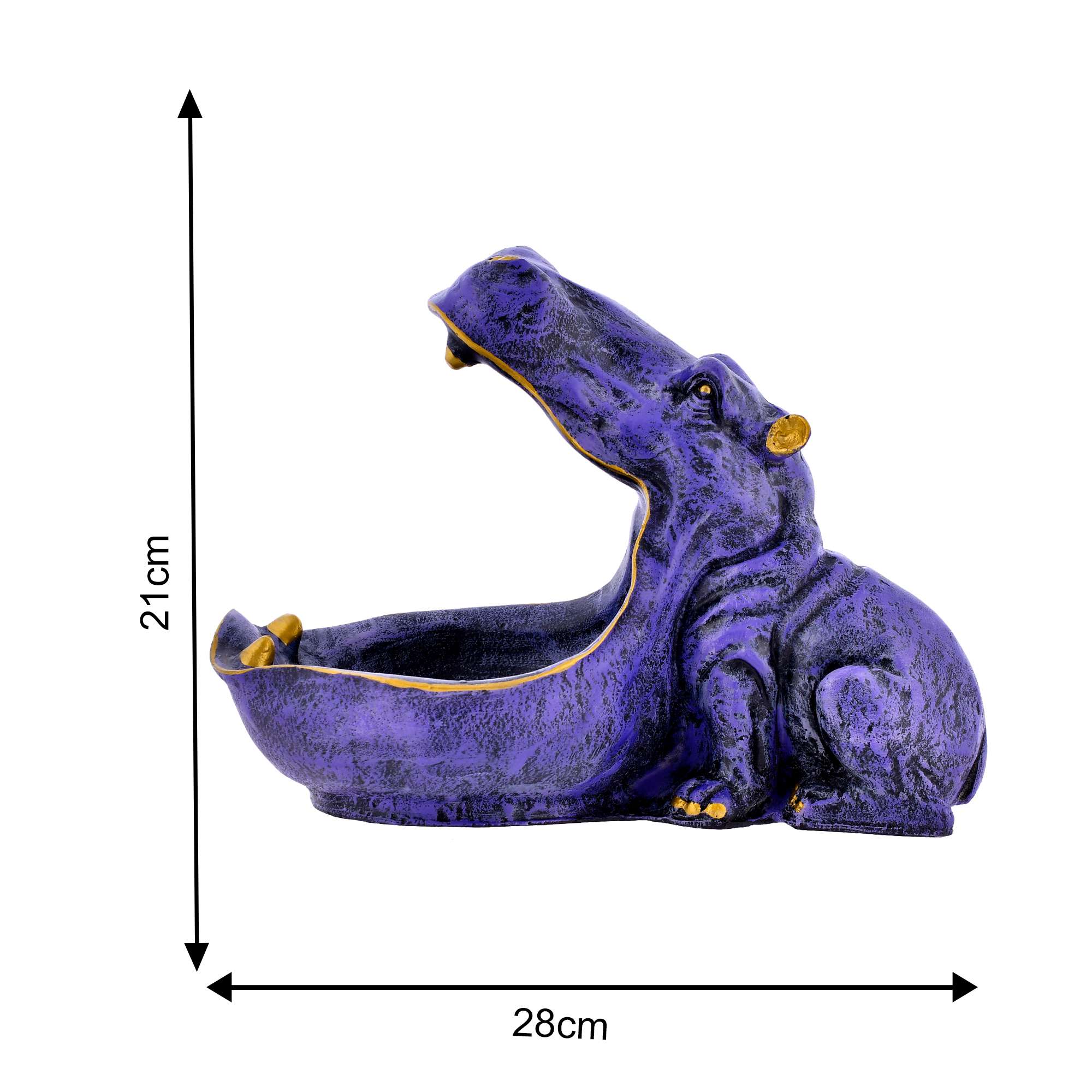 XZrfxd.jpg